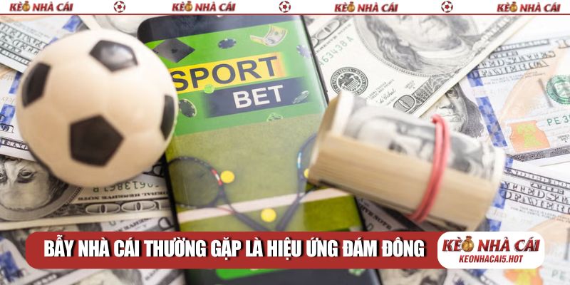 Bẫy nhà cái thường gặp là hiệu ứng đám đông